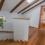 Casa vacanze Katarina, A Perfect Summer Retreat In Istria *
